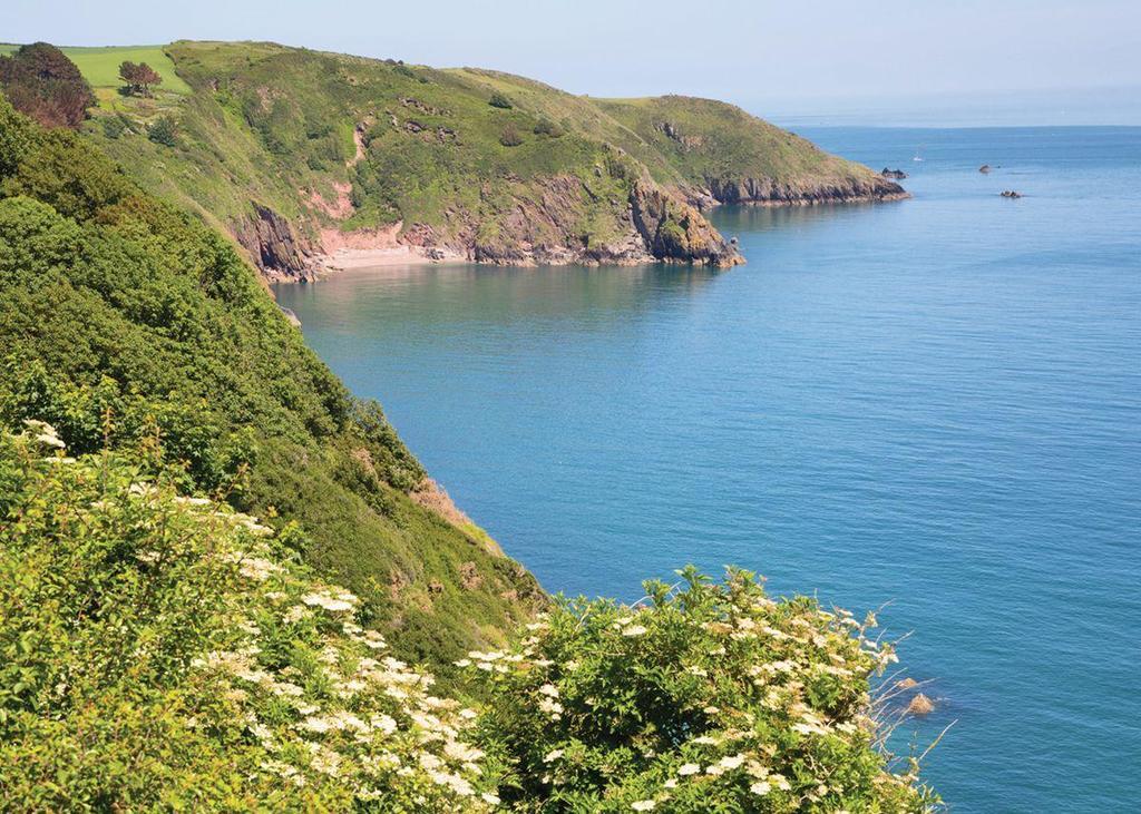 Leonards Cove Hotell Stoke Fleming Exteriör bild